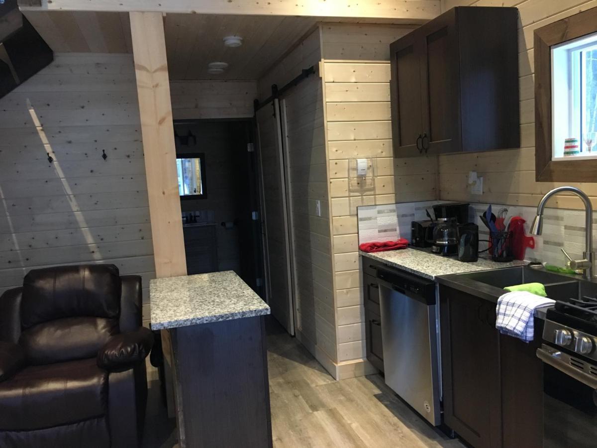 Cougar Mountain And Chalet Valemount