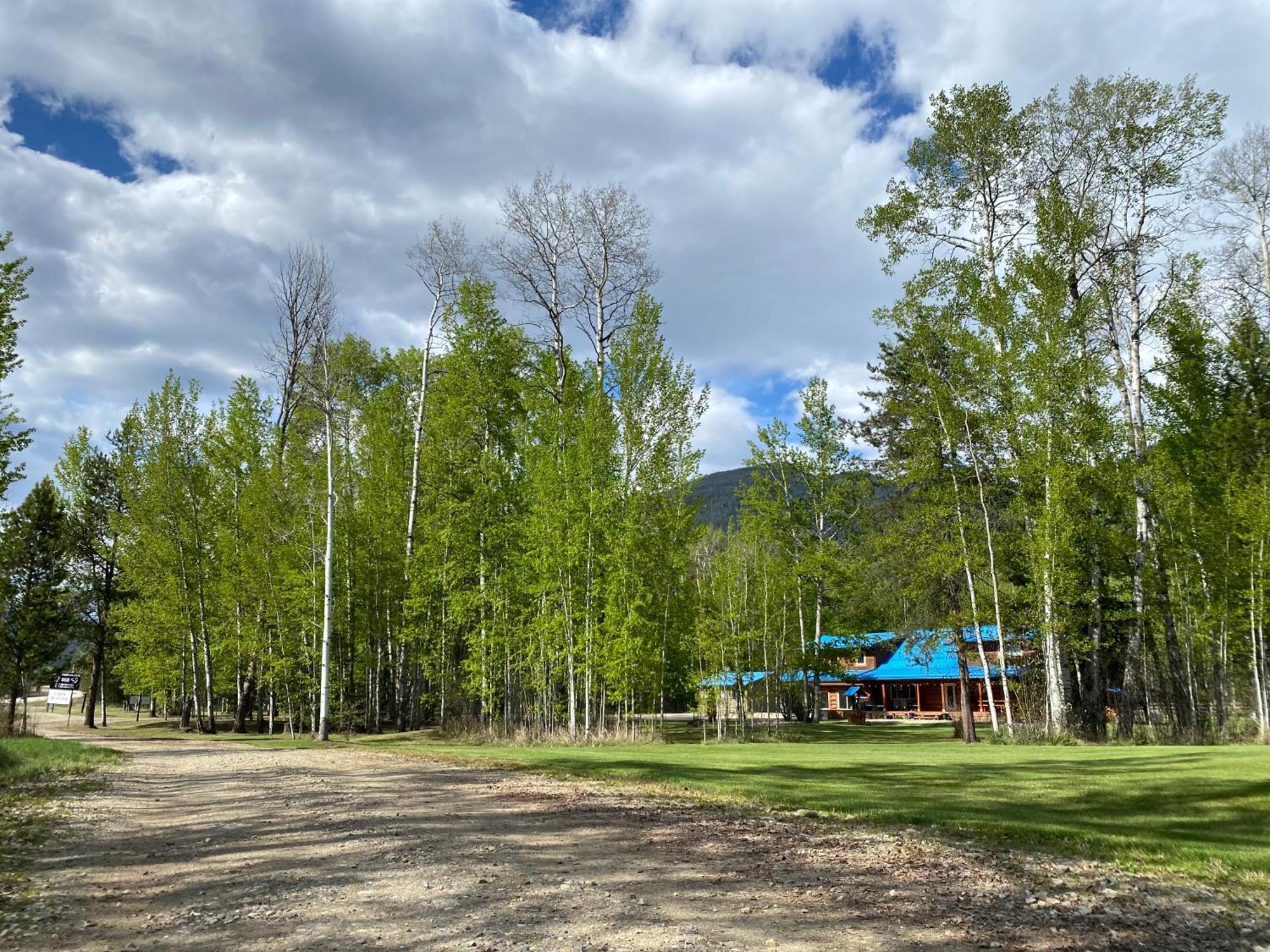 Cougar Mountain And Valemount