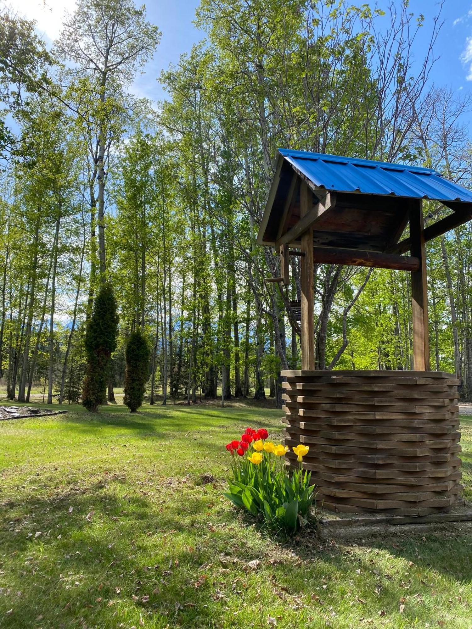 Chalet Cougar Mountain And Valemount