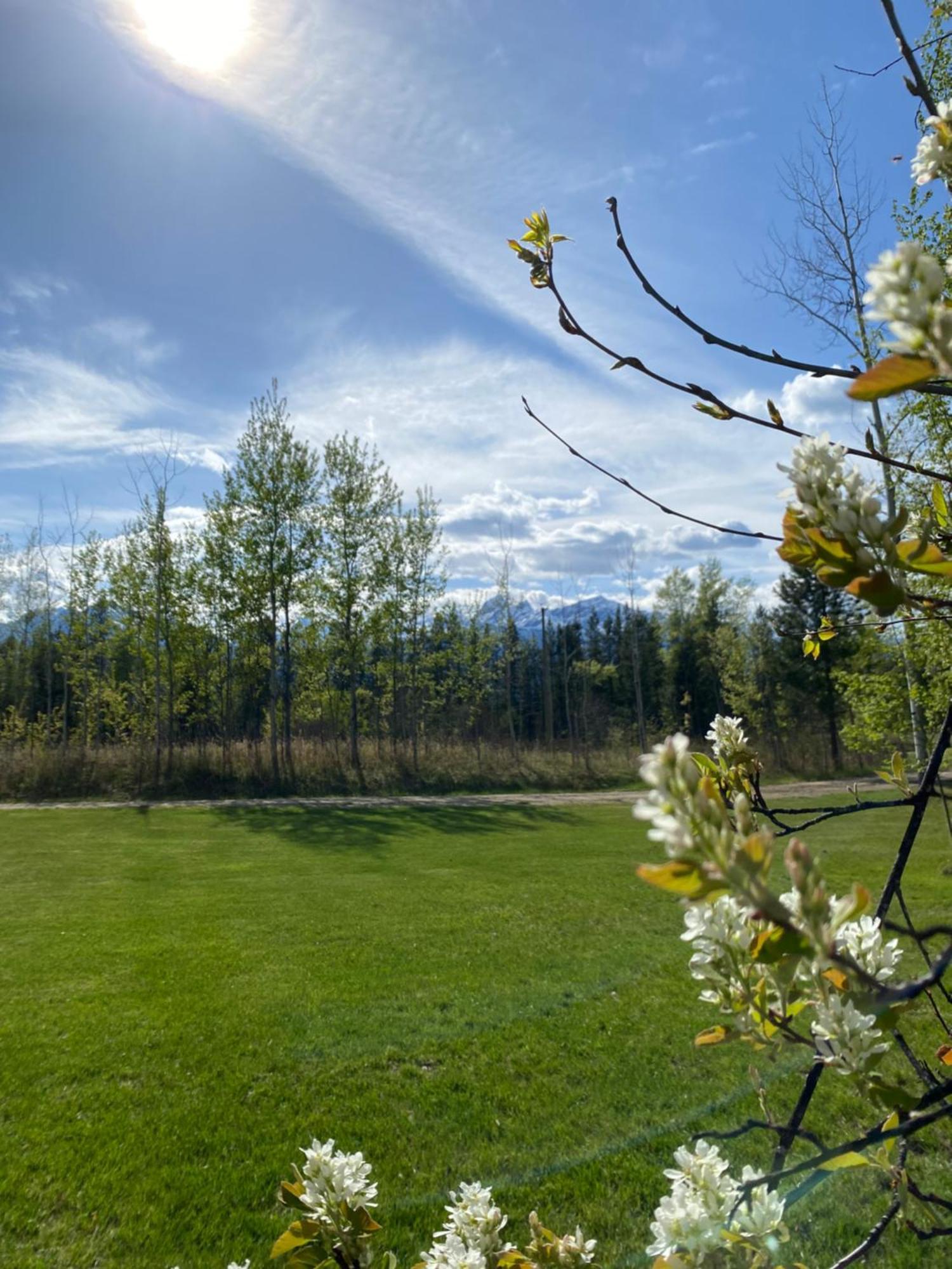 Cougar Mountain And Chalet Valemount